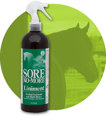 Sore No-More - Classic Liniment Spray